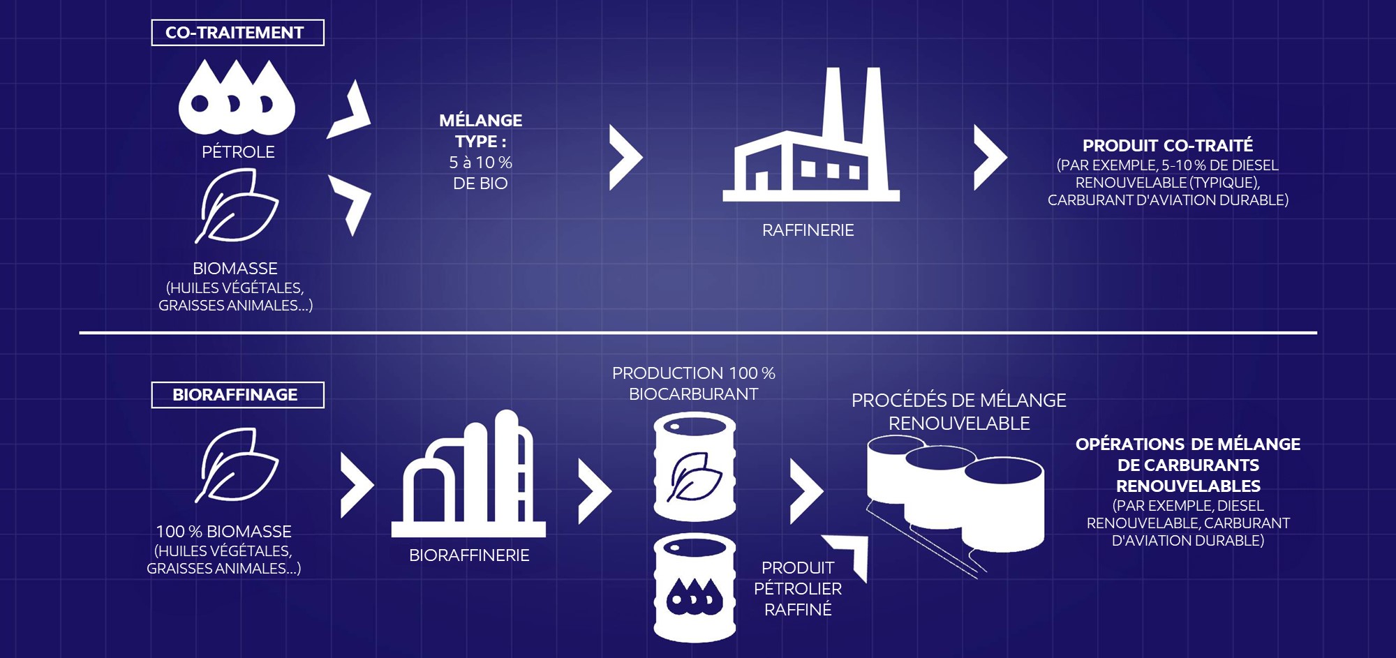 Schéma expliquant le cotraitement et le bioraffinage